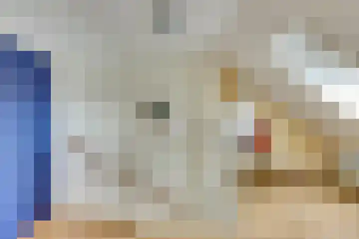 Dahlialaan 18 Yerseke thumbnail 26