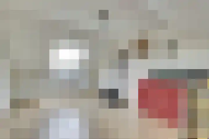 Dahlialaan 18 Yerseke thumbnail 27
