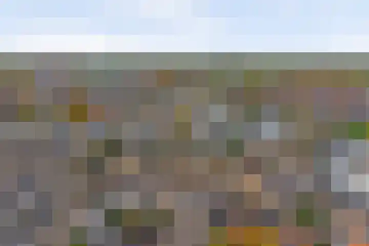 Dahlialaan 18 Yerseke thumbnail 35
