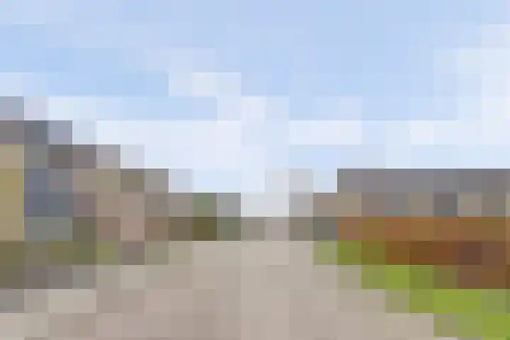 Dahlialaan 18 Yerseke thumbnail 4