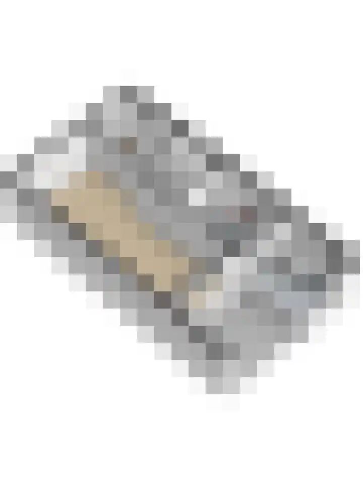 Dahlialaan 18 Yerseke thumbnail 43
