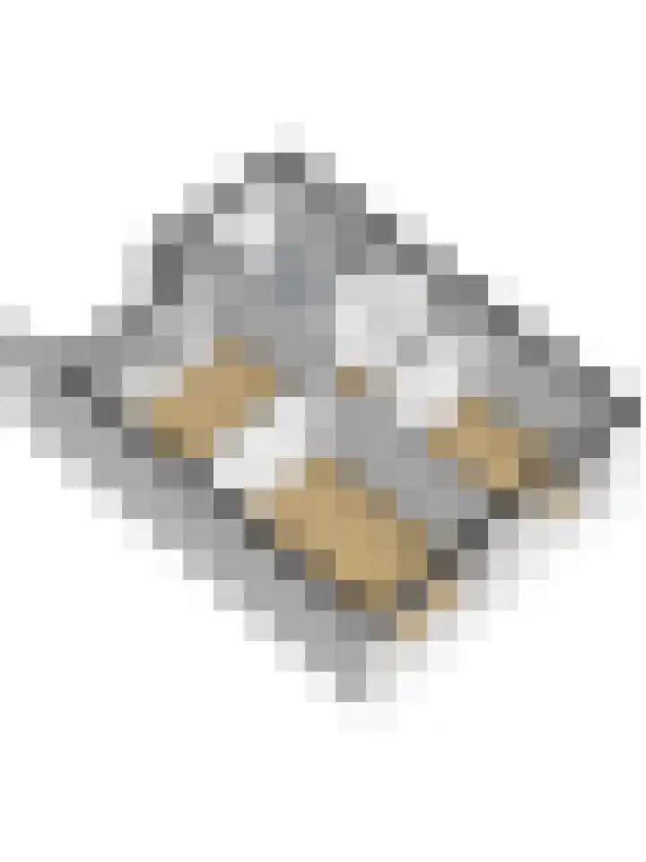 Dahlialaan 18 Yerseke thumbnail 44