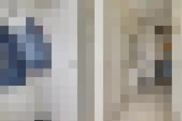 Dahlialaan 18 Yerseke thumbnail 5