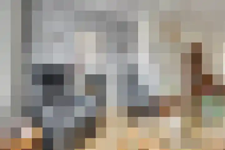 Dahlialaan 18 Yerseke thumbnail 8