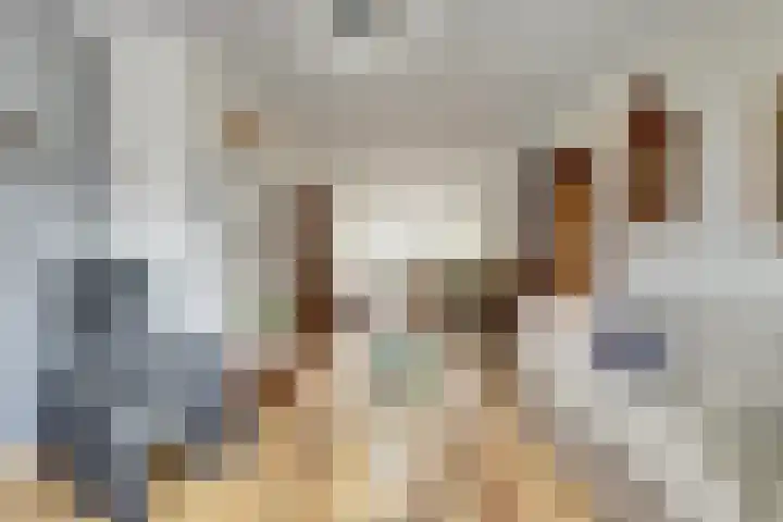 Dahlialaan 18 Yerseke thumbnail 9