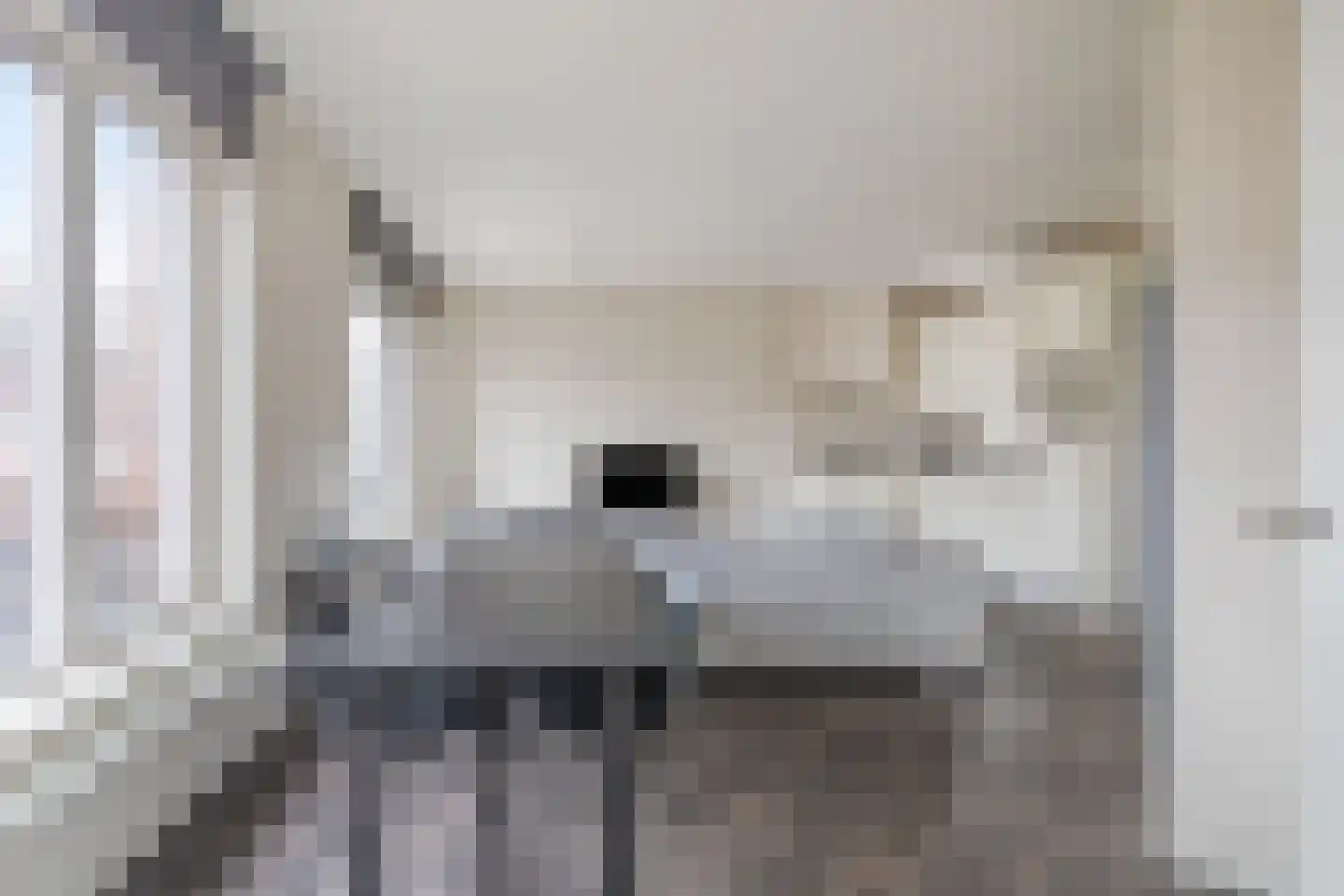 Dahlialaan 2 Eindhoven thumbnail 10