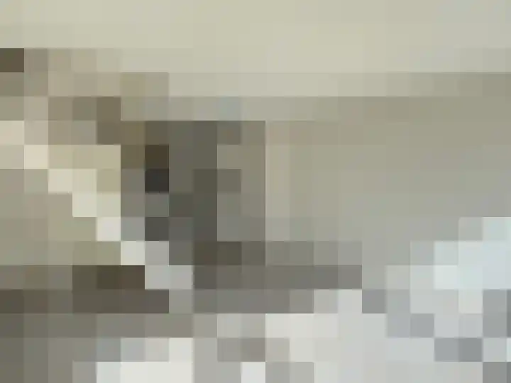 Dahlialaan 2 Winkel thumbnail 10