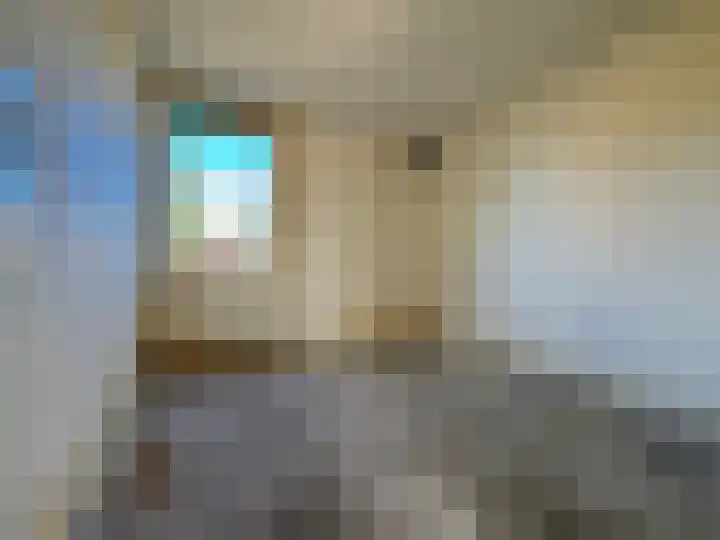 Dahlialaan 2 Winkel thumbnail 13
