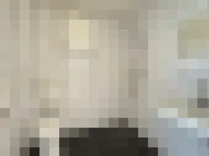 Dahlialaan 2 Winkel thumbnail 15