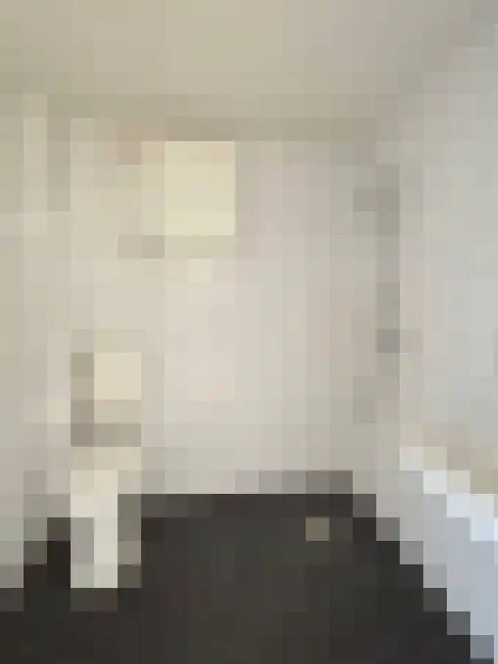 Dahlialaan 2 Winkel thumbnail 16