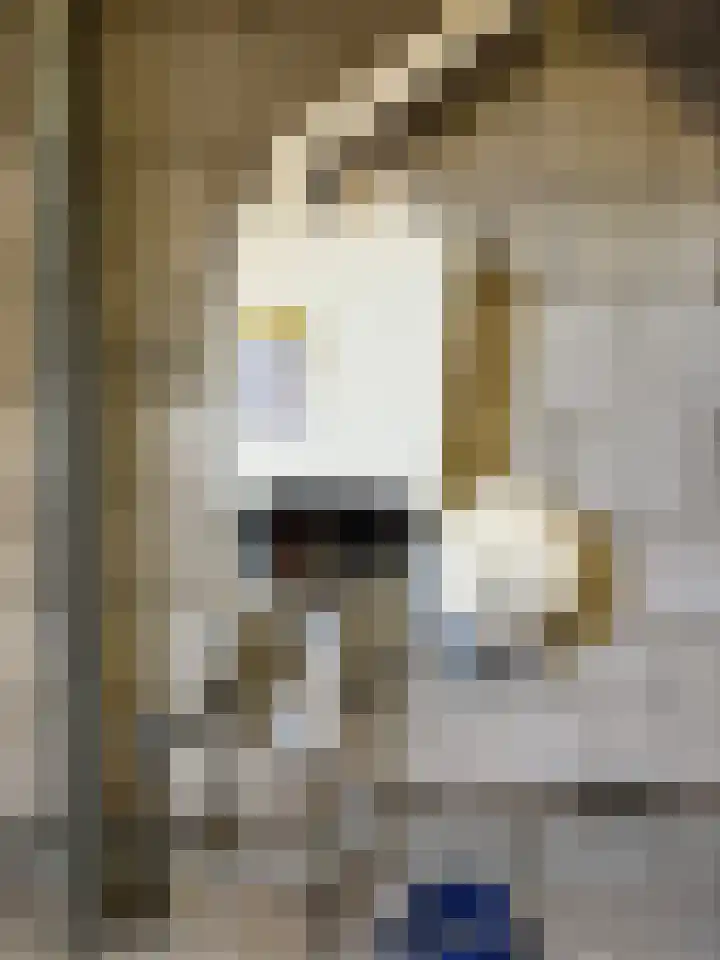 Dahlialaan 2 Winkel thumbnail 17