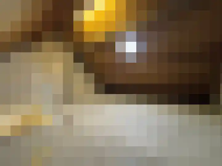 Dahlialaan 2 Winkel thumbnail 18
