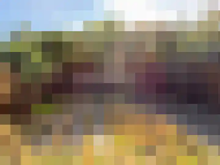Dahlialaan 2 Winkel thumbnail 20
