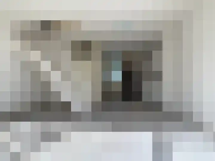 Dahlialaan 2 Winkel thumbnail 9