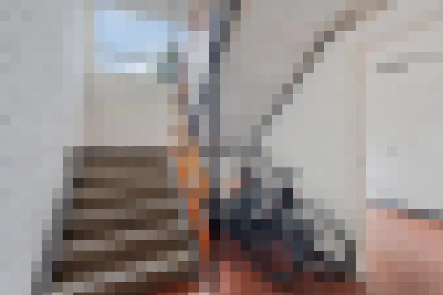 Dahlialaan 20 Oegstgeest thumbnail 10