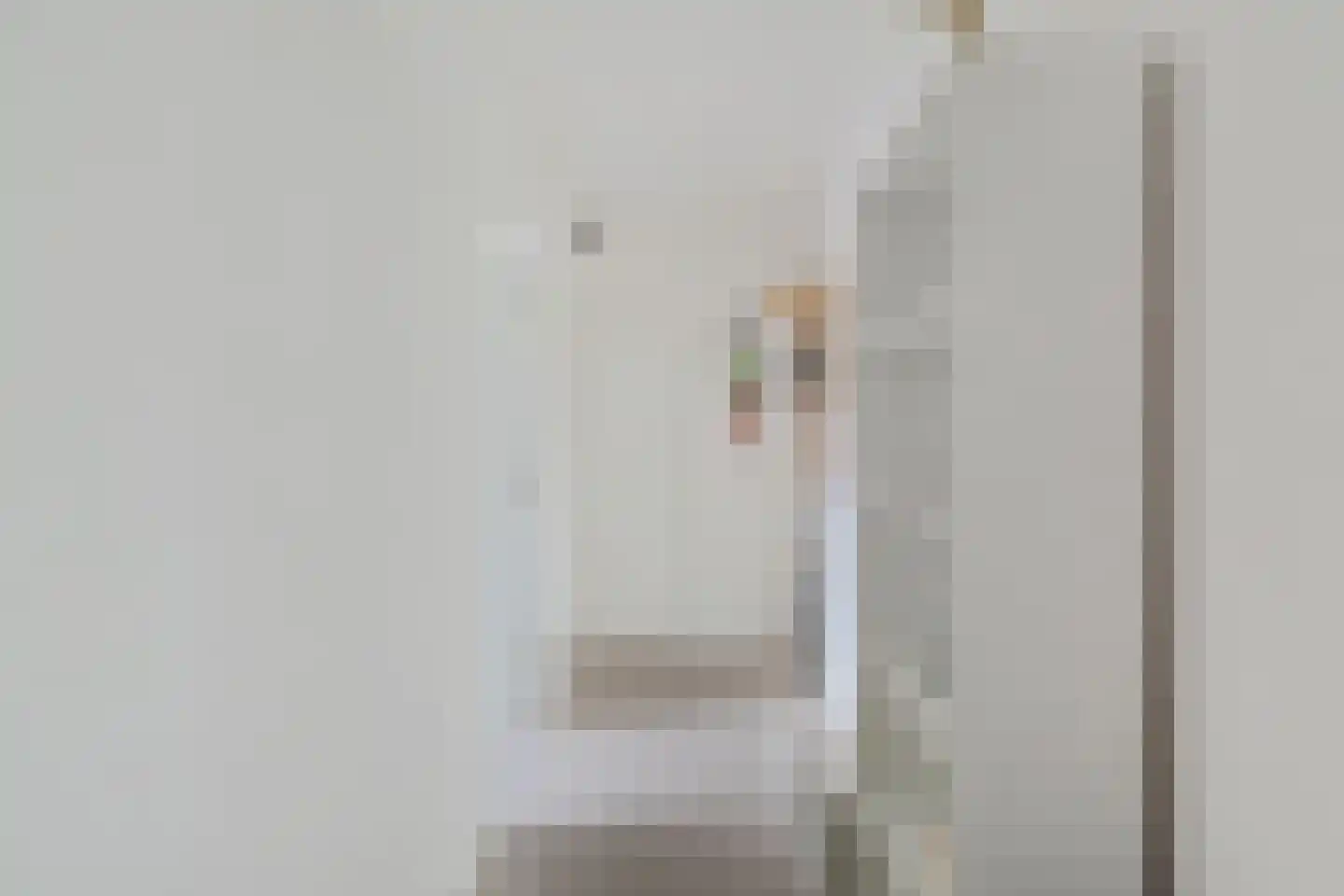 Dahlialaan 20 Oegstgeest thumbnail 11