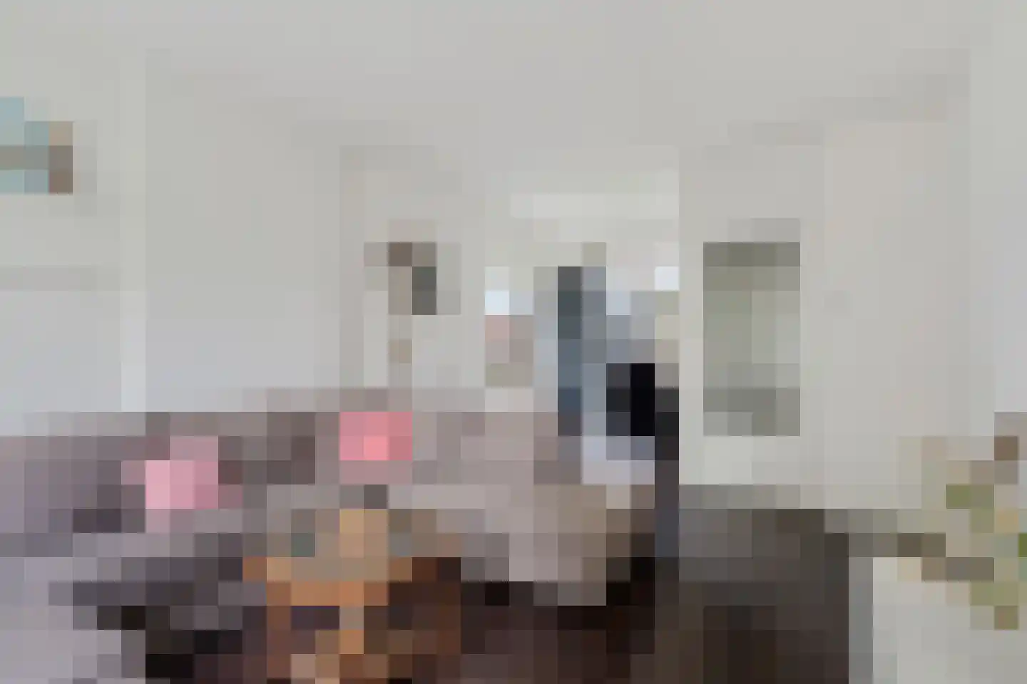 Dahlialaan 20 Oegstgeest thumbnail 14
