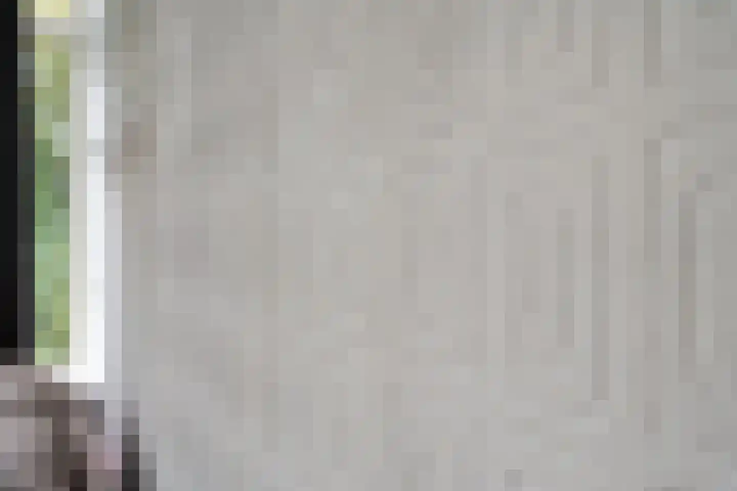 Dahlialaan 20 Oegstgeest thumbnail 17