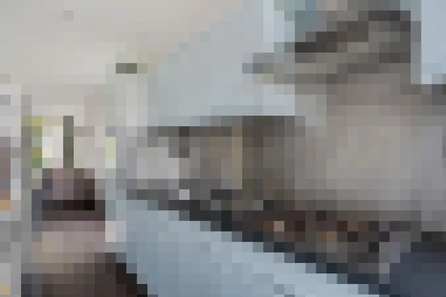 Dahlialaan 20 Oegstgeest thumbnail 22