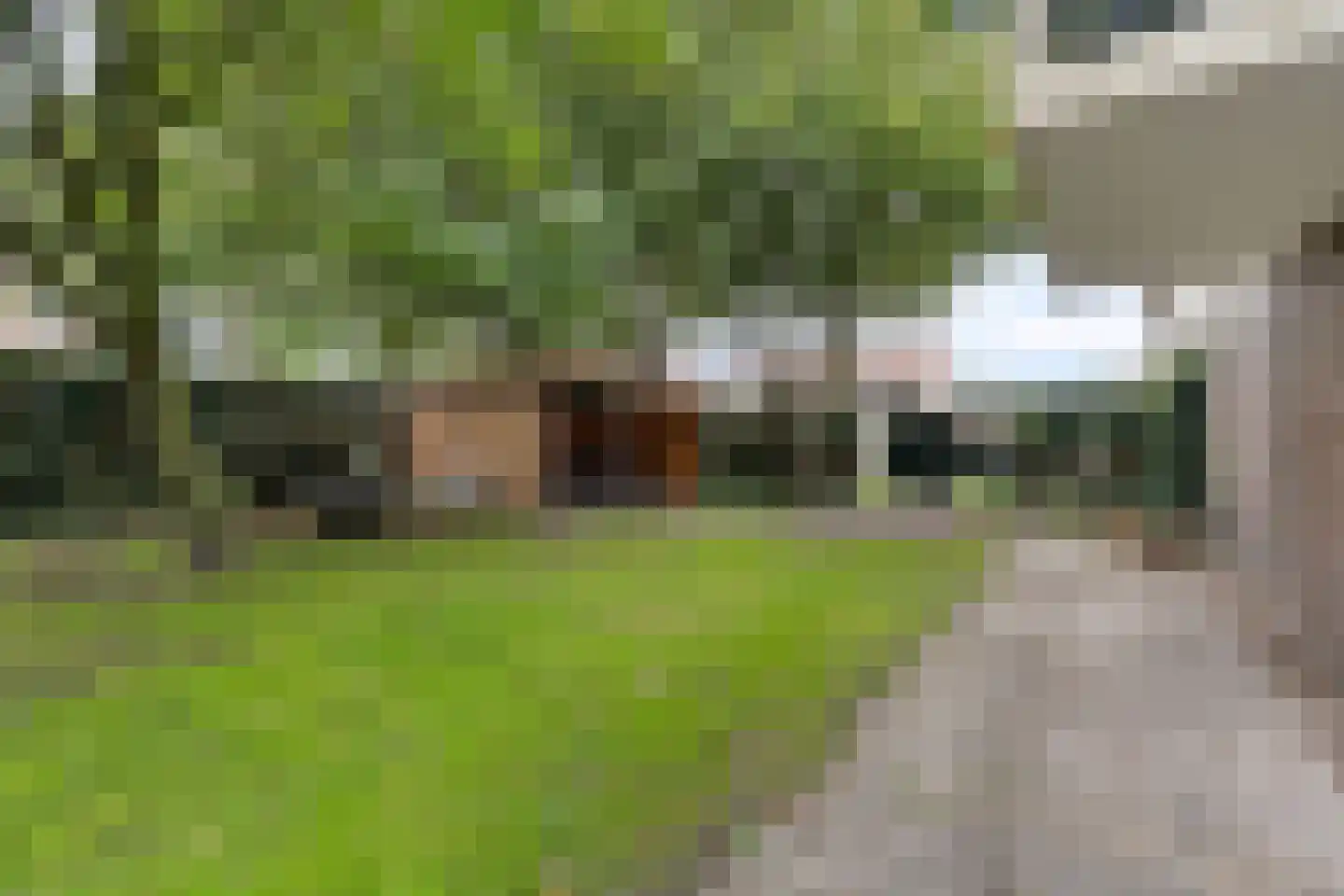 Dahlialaan 20 Oegstgeest thumbnail 38