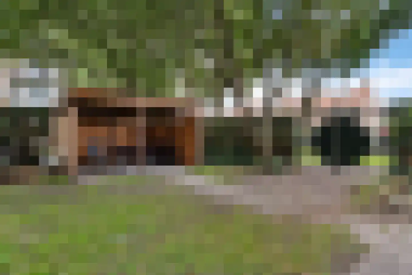 Dahlialaan 20 Oegstgeest thumbnail 39