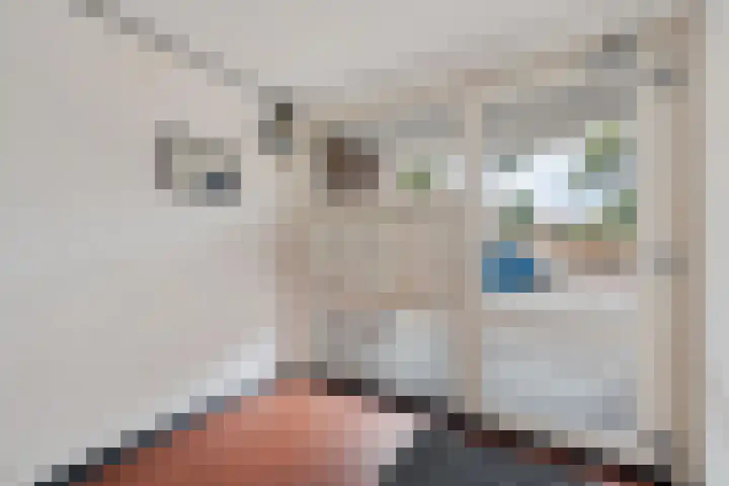 Dahlialaan 20 Oegstgeest thumbnail 9
