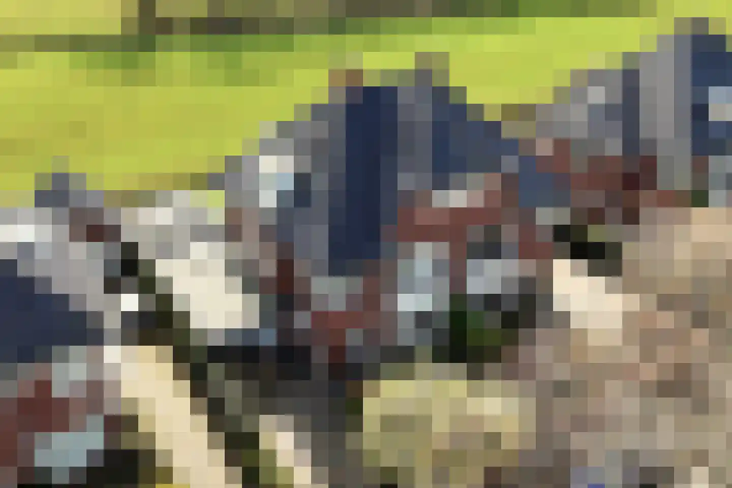 Dahlialaan 32 Aerdenhout thumbnail 5