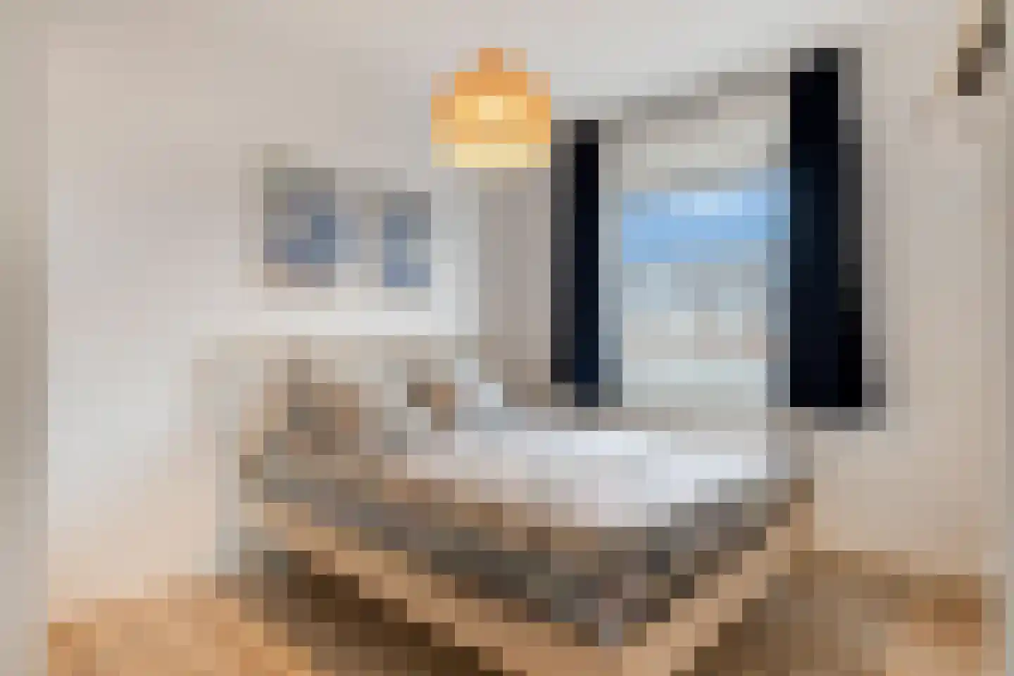 Dahlialaan 34 Eindhoven thumbnail 19