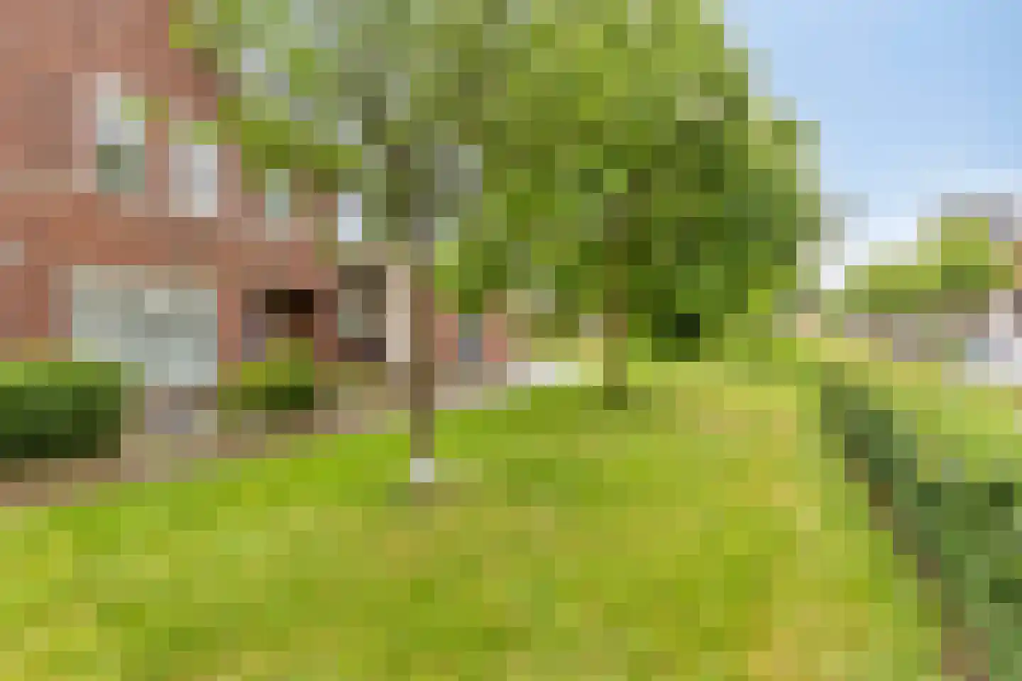 Dahlialaan 34 Eindhoven thumbnail 5