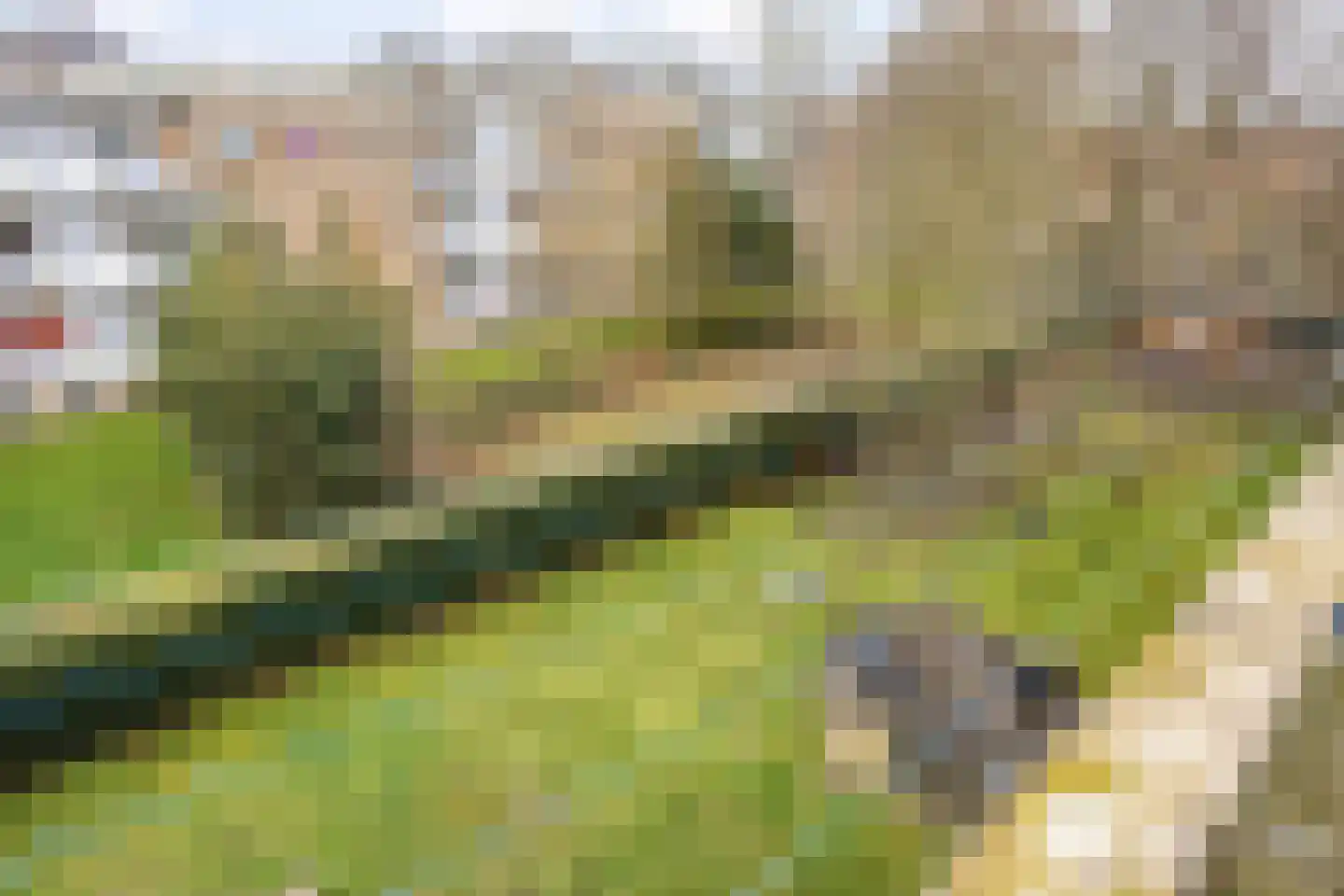 Dahlialaan 52 Oegstgeest thumbnail 21