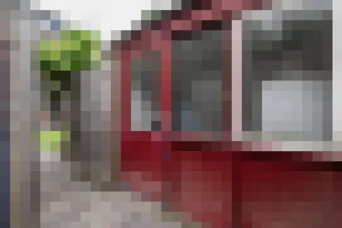Dahliapad 19 Stellendam thumbnail 37