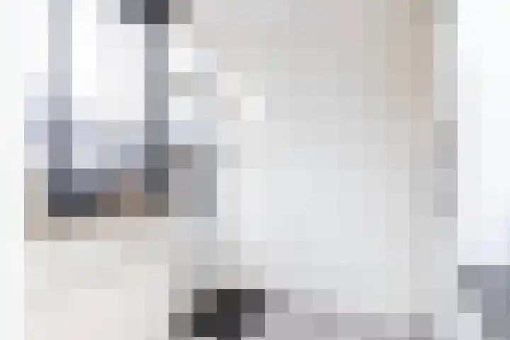 Dahliastraat 1 Eerbeek thumbnail 15