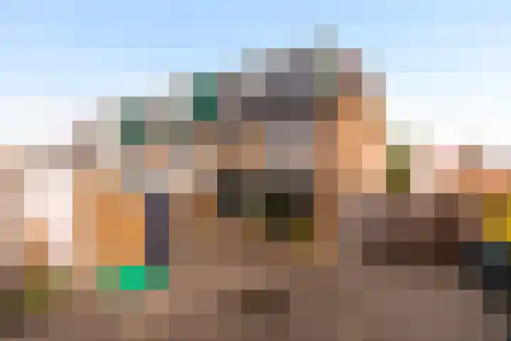 Dahliastraat 1 Eerbeek thumbnail 24