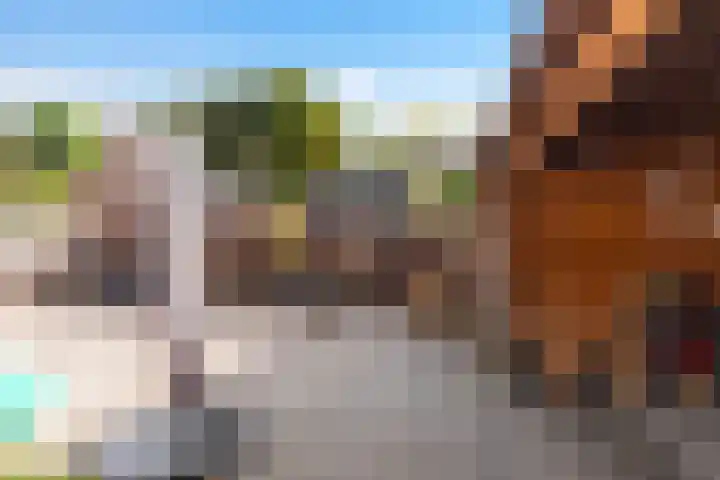 Dahliastraat 1 Eerbeek thumbnail 26