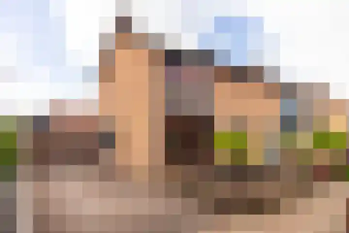 Dahliastraat 1 Eerbeek thumbnail 6