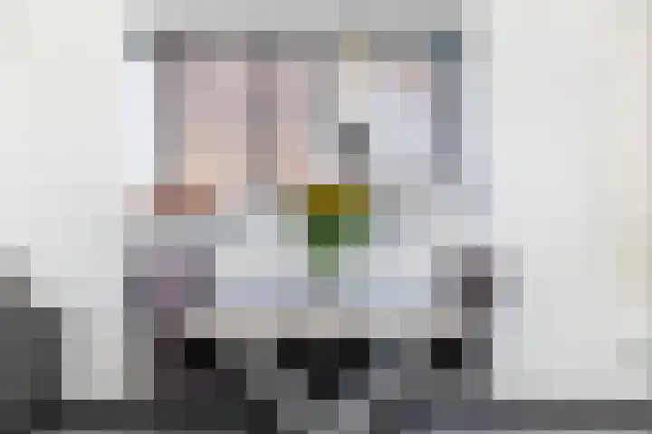 Dahliastraat 1 Eerbeek thumbnail 9