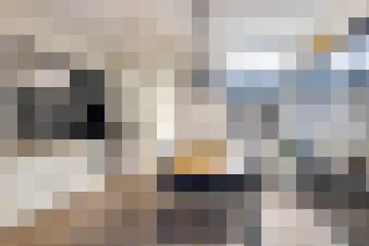 Dahliastraat 1 Woerden thumbnail 12