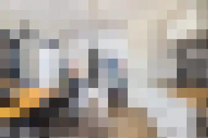 Dahliastraat 1 Woerden thumbnail 15