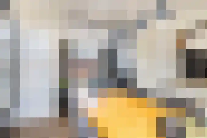 Dahliastraat 1 Woerden thumbnail 16