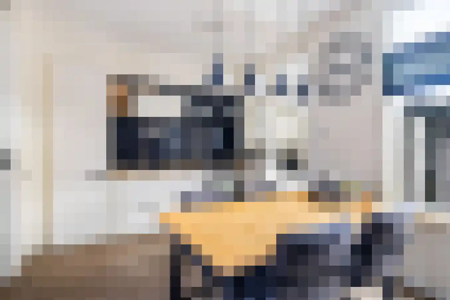 Dahliastraat 1 Woerden thumbnail 17