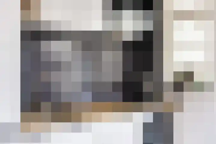 Dahliastraat 1 Woerden thumbnail 22