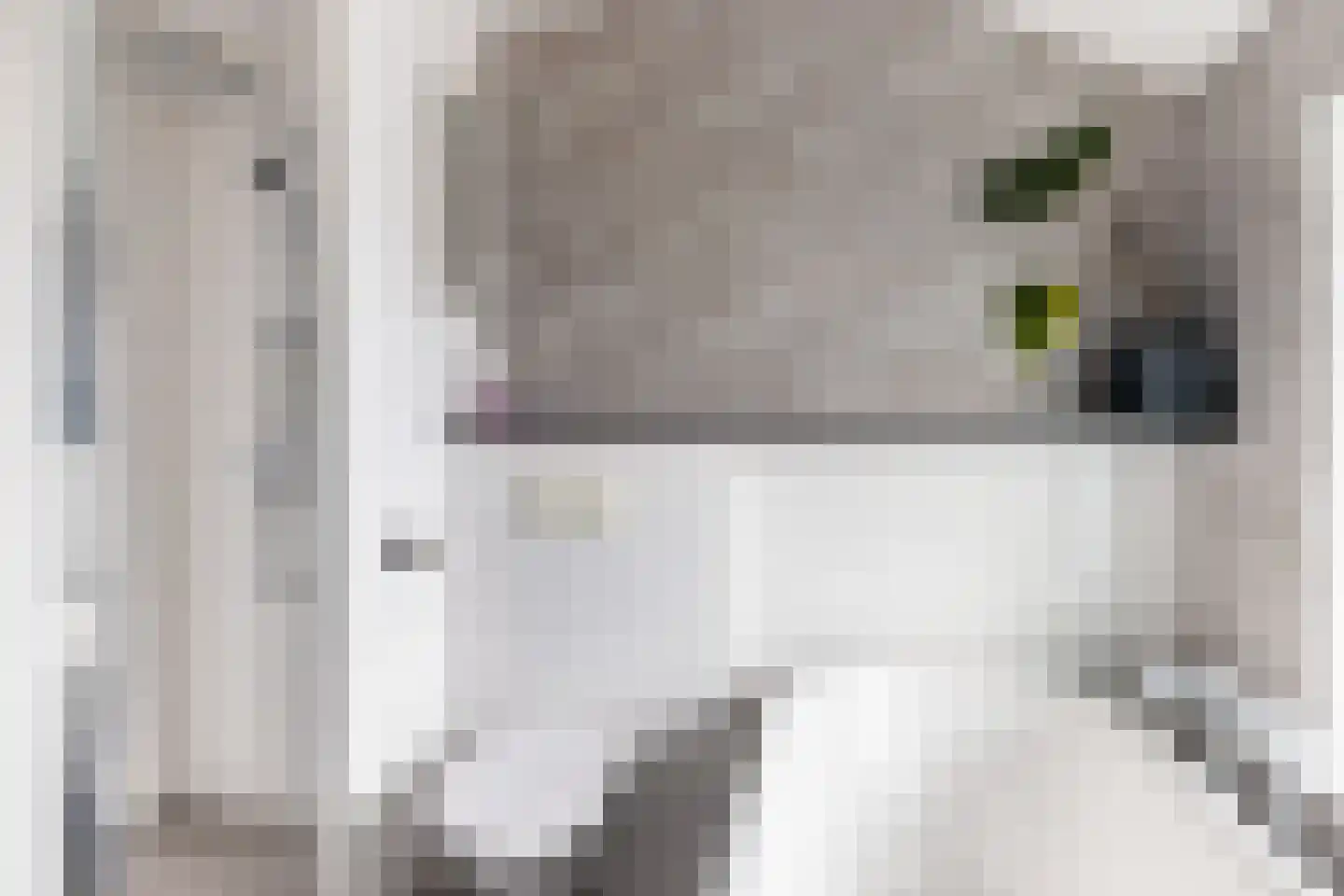 Dahliastraat 1 Woerden thumbnail 47