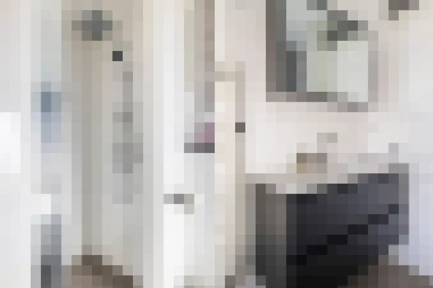 Dahliastraat 1 Woerden thumbnail 49
