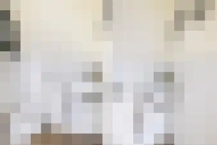 Dahliastraat 1 Woerden thumbnail 5