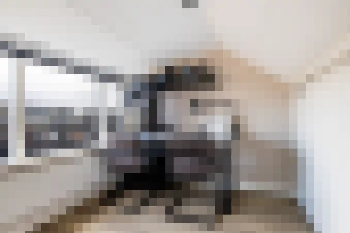 Dahliastraat 1 Woerden thumbnail 51