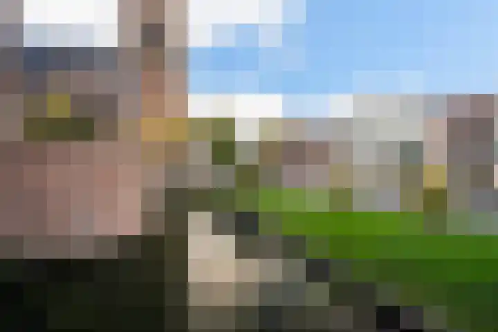 Dahliastraat 1 Woerden thumbnail 59