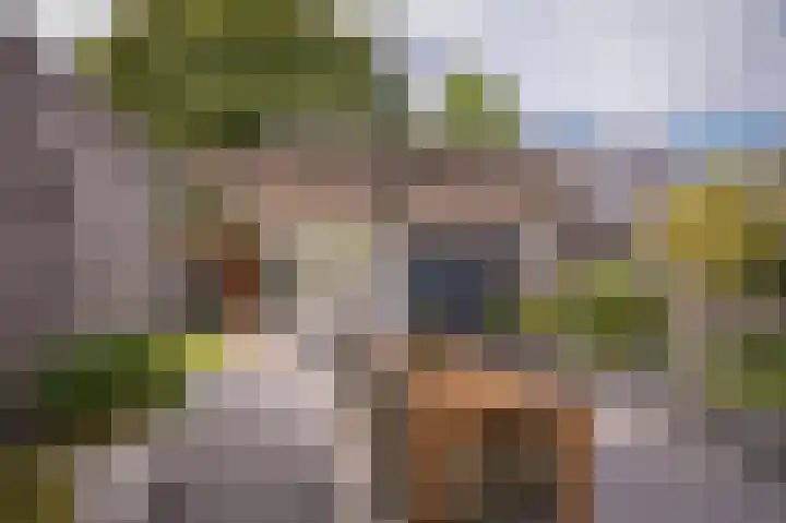 Dahliastraat 10 Beneden-Leeuwen thumbnail 33