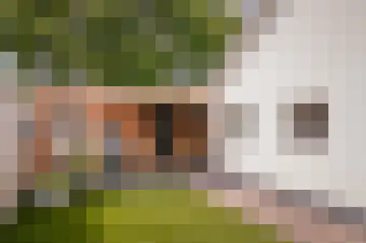 Dahliastraat 10 Beneden-Leeuwen thumbnail 34