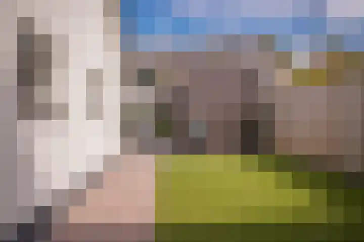 Dahliastraat 10 Beneden-Leeuwen thumbnail 39