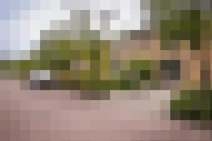Dahliastraat 10 Beneden-Leeuwen thumbnail 46
